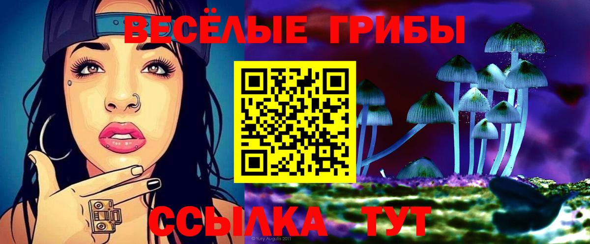Галлюциногенные грибы мухоморы  Галлюциногенные грибы ЛСД  Вход с VPN  Железногорск 