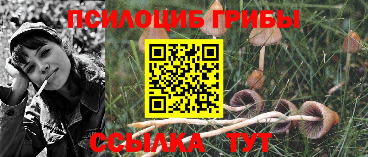 Галлюциногенные грибы MAGIC MUSHROOMS Железногорск